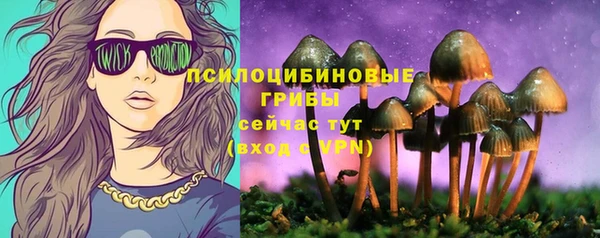 МДМА Заводоуковск