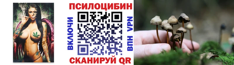 Псилоцибиновые грибы мицелий  Купить где  Лиски 